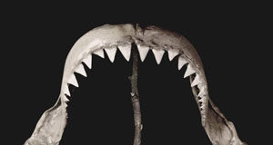 Critica del CD de BALA - Maleza