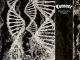 Critica del CD de CORONER - Dissonance Theory