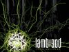 Critica del CD de LAMB OF GOD - Into Oblivion