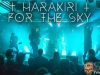 Crónica y fotos de HARAKIRI FOR THE SKY en Madrid