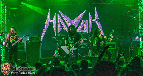 HAVOK