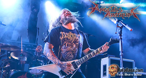 ANGELUS APATRIDA