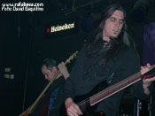 Ebony Ark - Foto: David Esquitino