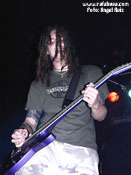 Ektomort - Foto: Ángel Ruiz