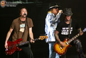 Guns and Roses - Foto: Rafa Basa