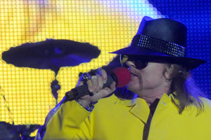 Guns n Roses