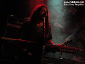 MSG - Foto: David Esquitino