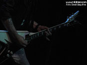 MSG  - Foto: David Esquitino