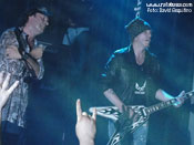 MSG  - Foto: David Esquitino