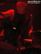 MSG - Foto: David Esquitino