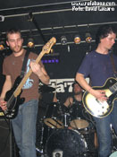 Pelican  - Foto: David Lázaro