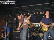 Pelican  - Foto: David Lázaro