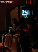 Saratoga - Foto: David Esquitino