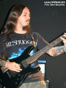 Silver Fist - Foto: David Esquitino