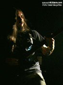 Silver Fist - Foto: David Esquitino