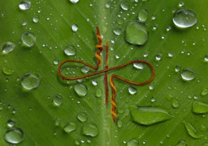 THE DEVIN TOWNSEND PROJECT - Ghost