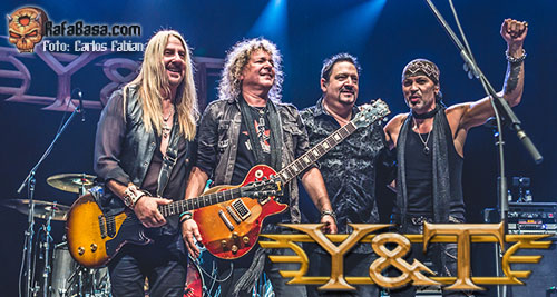 Y&T